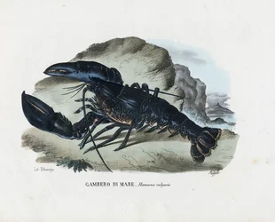 Crostacei, 1863-79